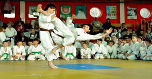 wracup_2014-512x267